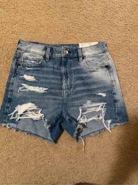NWT American Eagle Distressed Light Blue Denim Women's Jorts